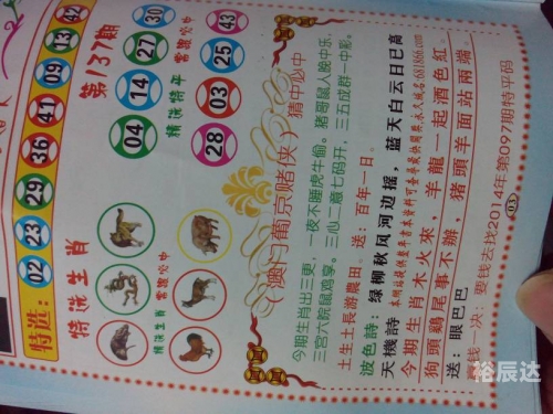 今天晚开的什么特马 小说今天晚开的特马小说