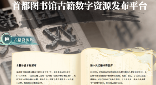 彩易网彩易网，数字时代的财富桥梁