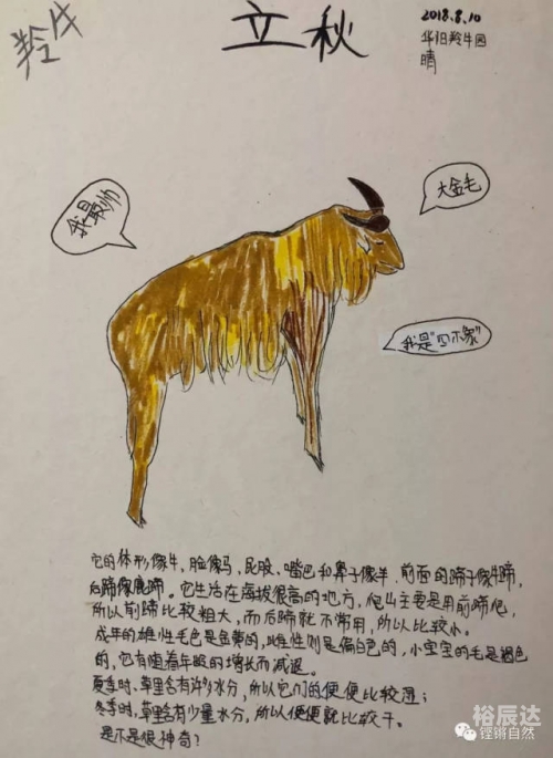 今天必中四不像图今天必中的四不像图-第1张图片