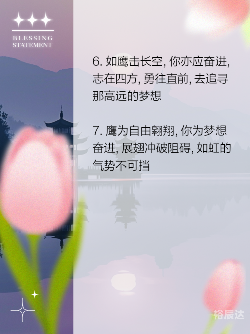 鹰击长空2在线观看鹰击长空2，探索天空的壮丽与挑战