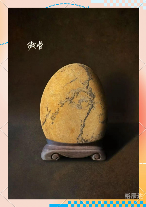 选天录选天录，探寻自然之美与人生智慧-第1张图片