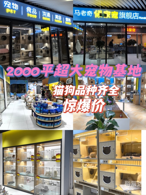 宠物论坛网站宠物论坛，宠物爱好者的交流平台-第1张图片