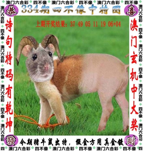 澳门今晚开奖号码展望2024