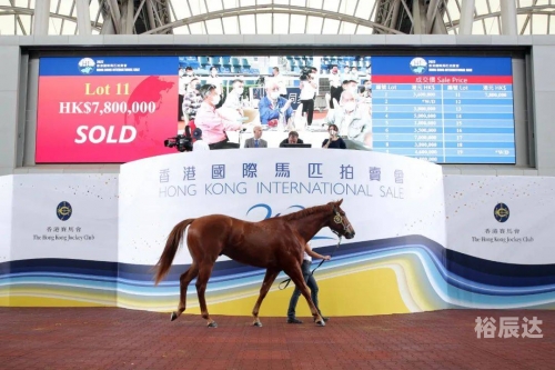 香港赛马会官网香港赛马会官网介绍