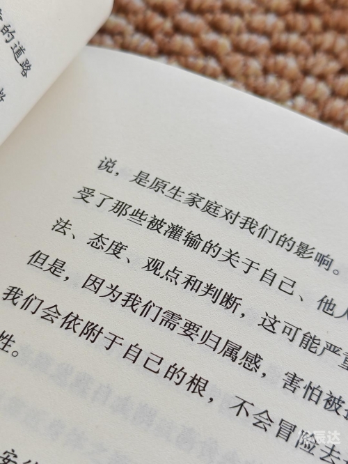 唯美论坛，探寻美的真谛-第1张图片