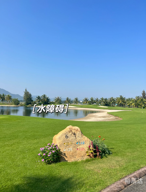 球探比分球探即时比球探即时比分，体育赛事中的关键一环-第1张图片