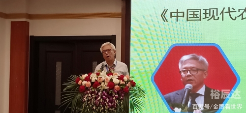 金鹰论坛免费资料大全下载官网金鹰论坛，探索网络交流的新天地-第1张图片