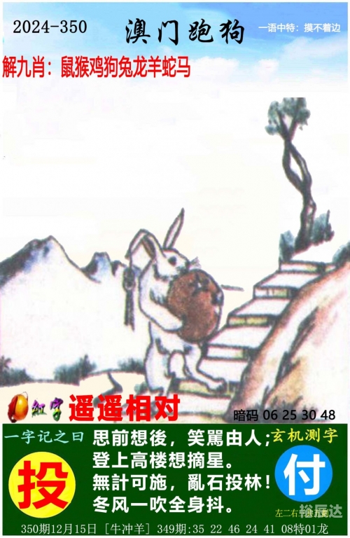 澳门管家婆，一肖一码一开，开启智慧生活新篇章-第1张图片