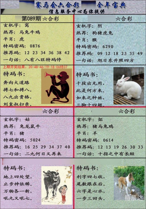 澳家婆2024，肖特特新篇章