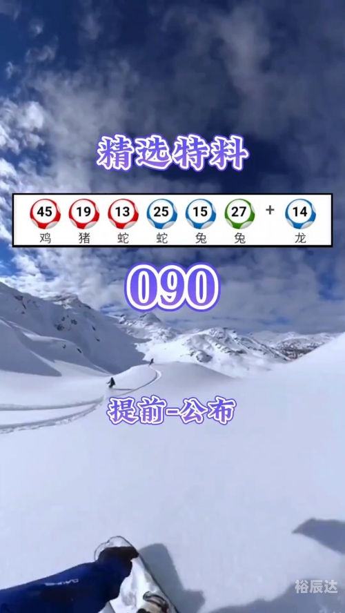 2024年新奥门天天开彩2024年新奥门天天开彩，展望与预测-第1张图片