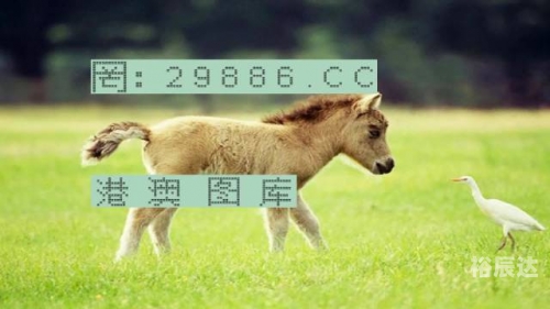 2024香港图库免费资料大全看2024香港图库免费资料大全