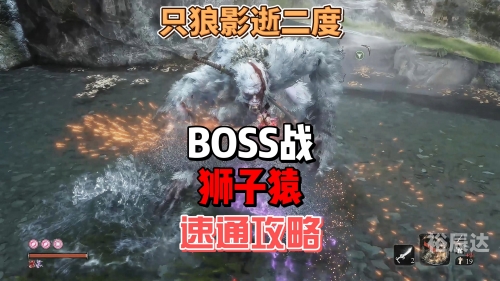 单机游戏攻略单机游戏攻略