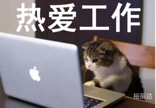 音频编辑大师，音频制作与优化利器