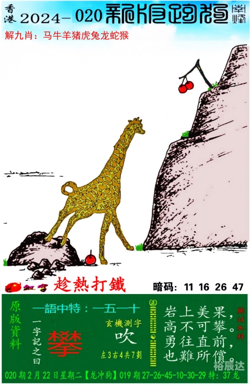 管家婆王中王开奖结果十记录网管家婆王中王开奖结果十记录网文章-第1张图片