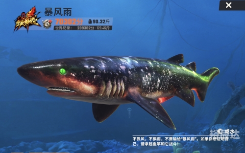 万能鲨鱼，海洋之霸