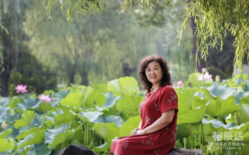 大姐论坛大港澳论坛网站资料大姐心水论坛，探索网络世界的魅力-第1张图片