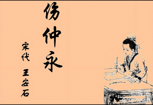 神童网，开启智慧之门-第1张图片