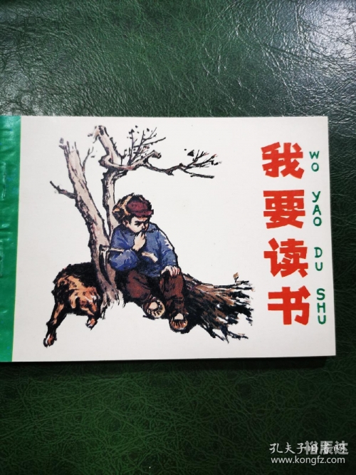 要看书网站TXT下载要看书网，阅读新体验-第1张图片