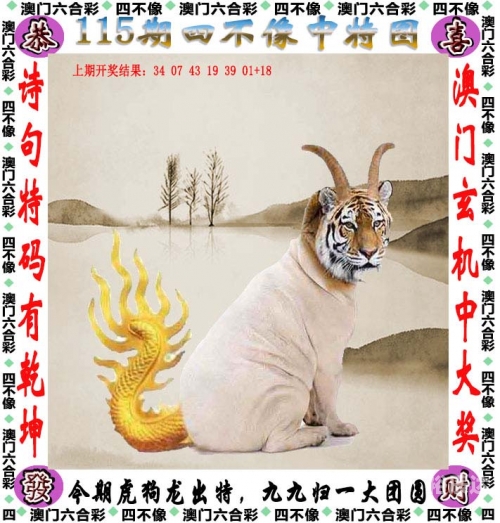 澳门今晚预测，肖码预测与2023展望-第1张图片
