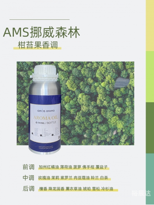 中国夜场集团中国夜场论坛，探索文化交流与商业合作的崭新平台-第2张图片