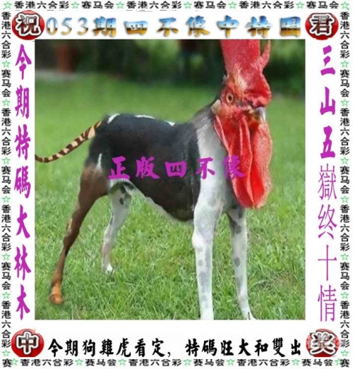 香港494949开奖现场直播-第1张图片