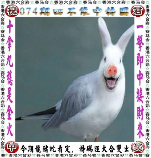 2023澳门免费资料大全82023澳门免费资料大全-第2张图片