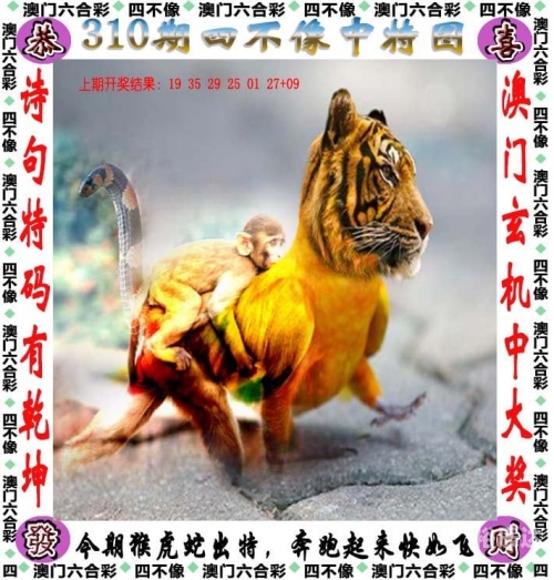 今天晚开的特马小说-第2张图片