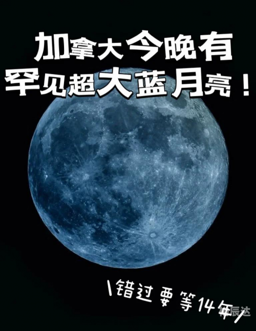 蓝月亮网站制作蓝月亮网站，探索科技与生活的交汇点-第1张图片