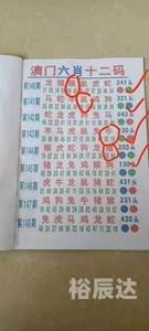 香港6开彩历史开奖记录六开奖香港开奖结果记录历史回顾-第2张图片