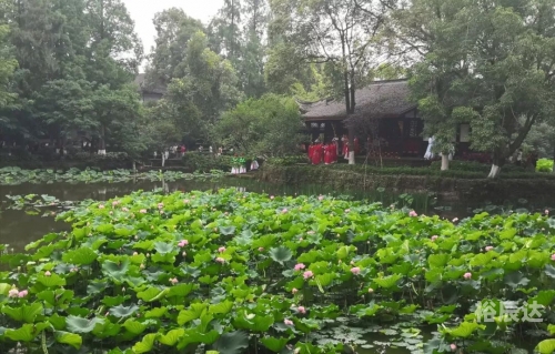 荷桂生态文化旅游节盛大开幕-第1张图片