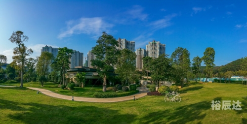 芳草地论坛高手论坛内容介绍芳草地论坛，探索网络交流的新天地-第1张图片