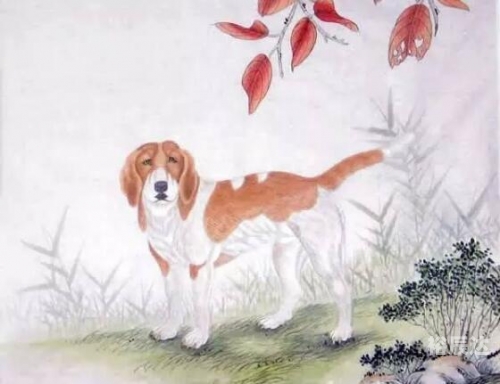 2019年今晚开什么码精准一码2019年今晚开什么特马-第1张图片