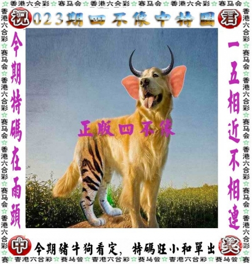 澳门2024天天开好彩大全及开奖记录走势图-第2张图片