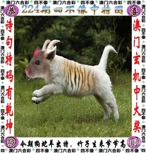 香港内部最准的一肖一码香港内部最准的一肖一码