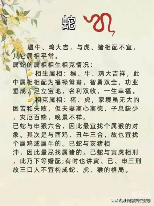 澳门免费公开资料大全十二生肖属性澳门免费公开资料大全