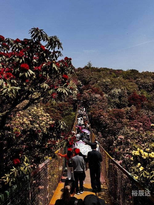 毕节旅游攻略毕节旅游攻略