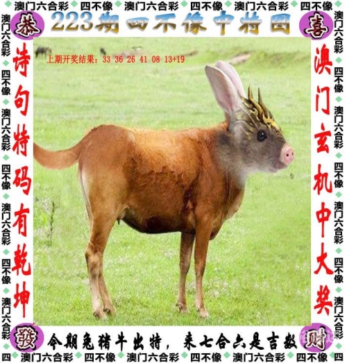 2025澳门精准正版免费四不像澳门免费资料大全，探秘特色与亮点