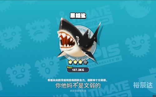 万能鲨鱼，海洋之霸