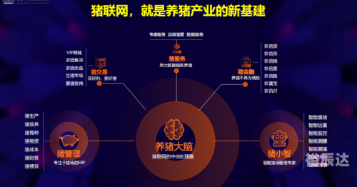 321全讯网，科技前沿的窗口