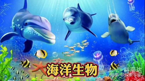 金富利心水论坛，探索心灵交流的海洋-第2张图片