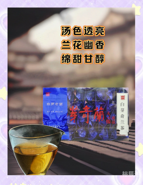 白芽奇兰是什么茶多少钱一斤白芽奇兰，兰花中的珍品-第2张图片