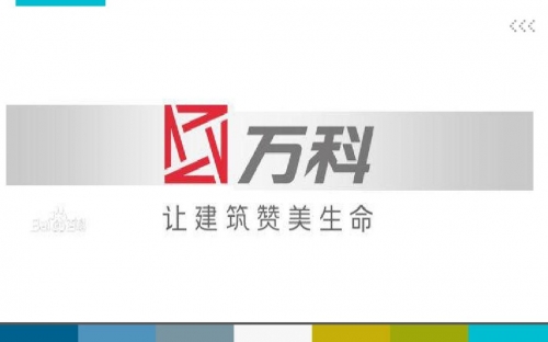 万科融资融券万科融资策略与挑战