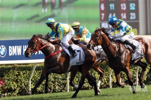 香港赛马会精选资料大全香港赛马会精选资料大全-第3张图片