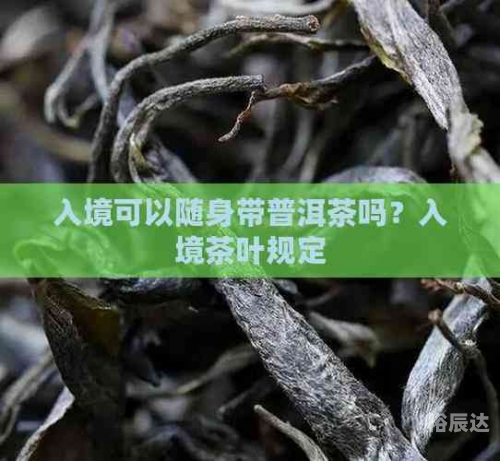 茶叶可以带上飞机吗茶叶能否带上飞机-第1张图片