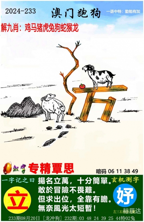 新澳门六开资料大全