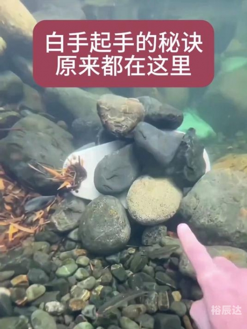 白手起家txt文章-第1张图片