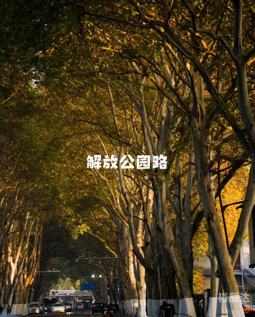 微风网微风网，探索自然之美与信息之窗-第2张图片
