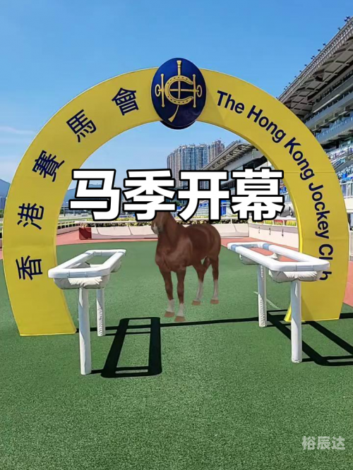 香港马赛马会最准资料香港马赛马会最准资料概述-第1张图片