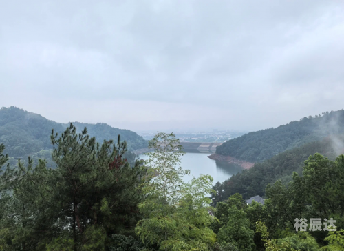 黄大仙的特马黄大仙特马之探索-第1张图片
