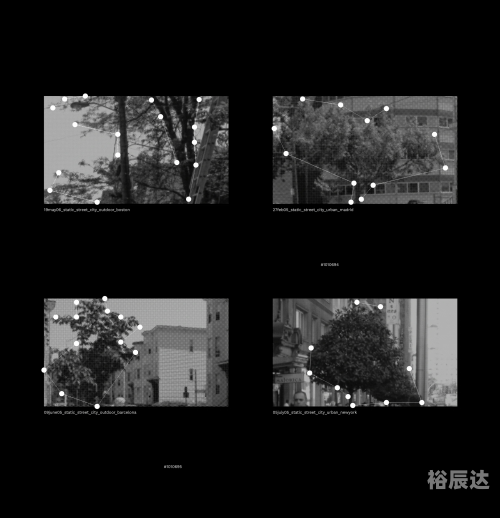万众118图库万众118图库，探索数字时代的视觉宝库-第1张图片
